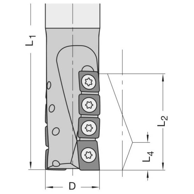 Diamant Schrobfrees Ø 25 x 54 mm, TL=120 mm, S=25 mm, Z=2, DP