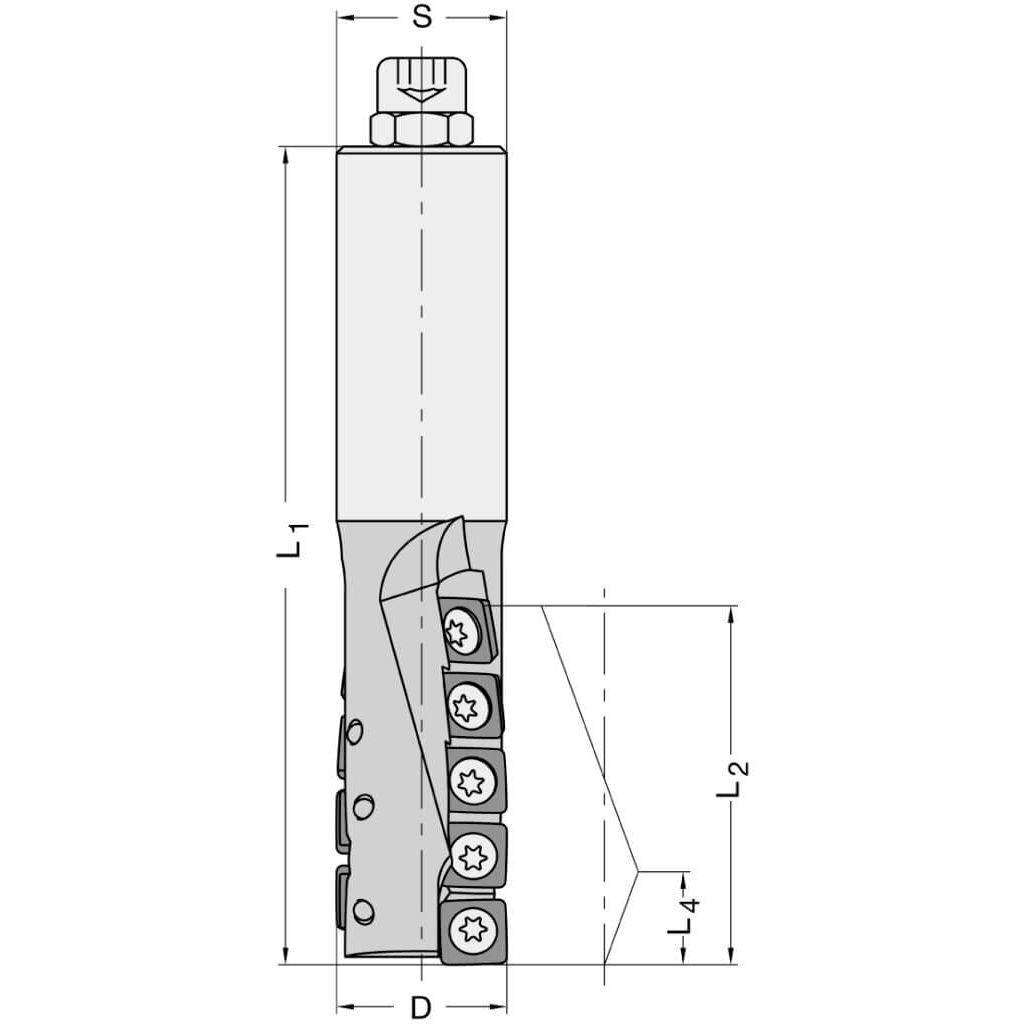 Diamant Schrobfrees Ø 25 x 54 mm, TL=120 mm, S=25 mm, Z=2, DP
