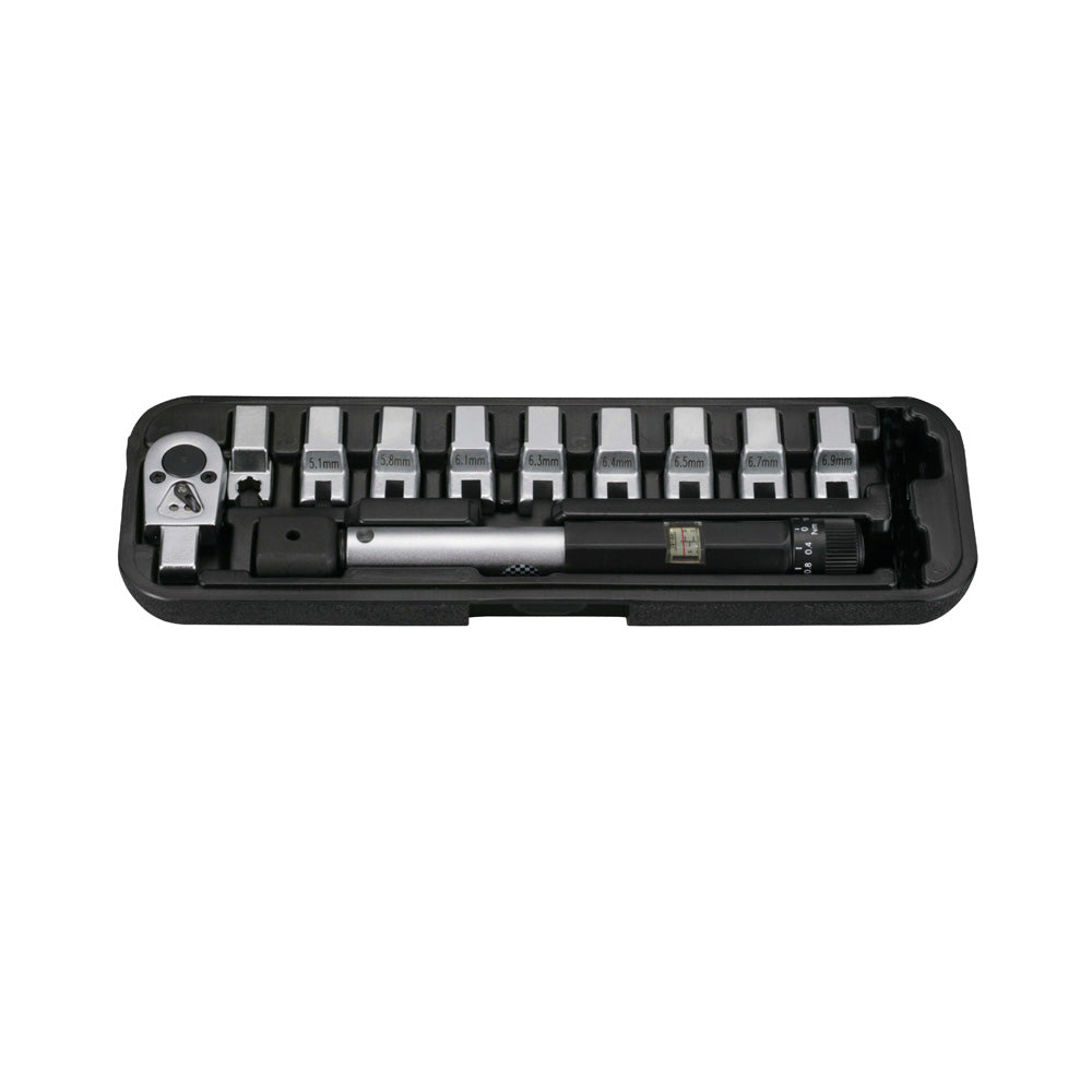 12pc Head-interchageable torque wrench & 6pt. Spline spanner set
