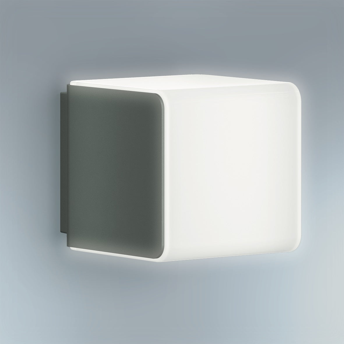 Steinel Sensor Buitenlamp L 830 LED iHF antraciet
