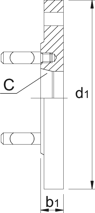 Bison Klauwplaatflens, gietijzer, Halfbewerkte gereedschapshouder, type 8242, ISO 702-2 (DIN 55029 Camlock)