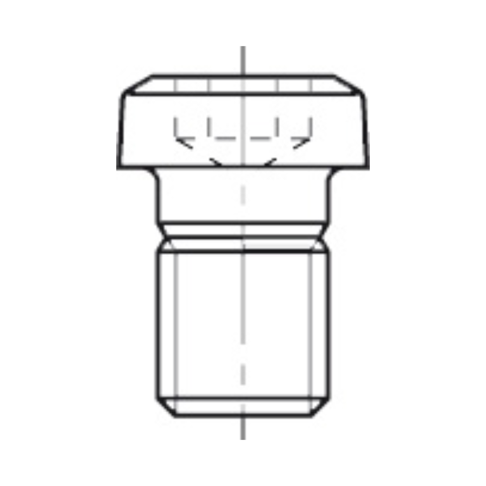 TORX-BOUT M3,0 X 7,0 TYPE D T.b.v. bovenfrezen
