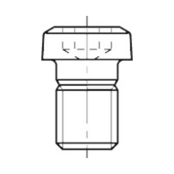 TORX-BOUT M3,5 X 5,5 TYPE D T.b.v. bovenfrezen
