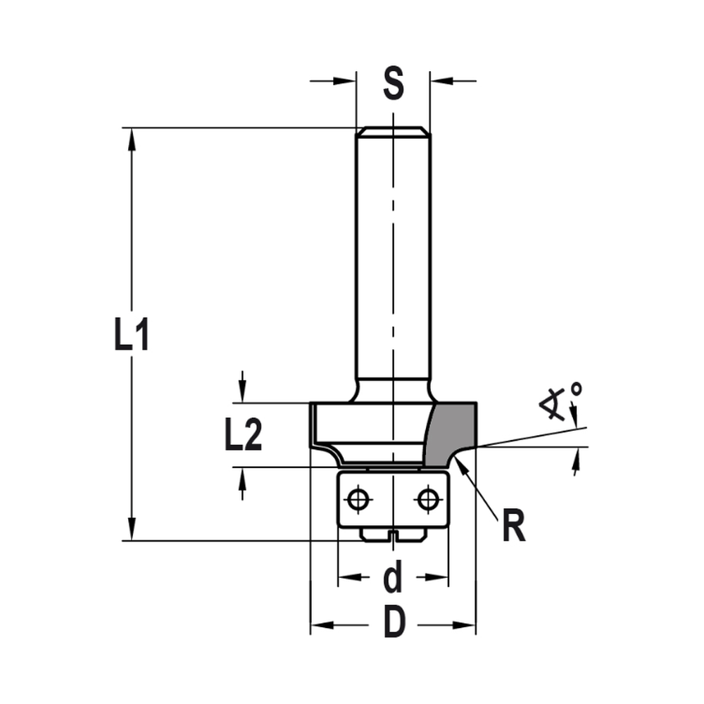 AFRONDPROFIELFREES R=2,5 MM MET KUNSTSTOF LAGER, D=19 MM, S=6 MM, HW