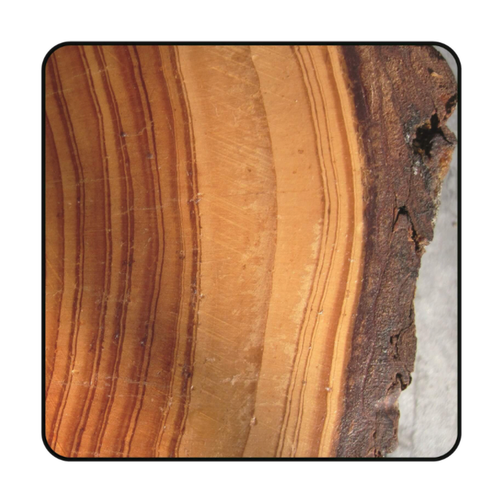 ZAAGBLAD Ø 400 MM, ASGAT 30 MM, B=3,50 MM, Z=18 VLAKTAND, HW Schulpen