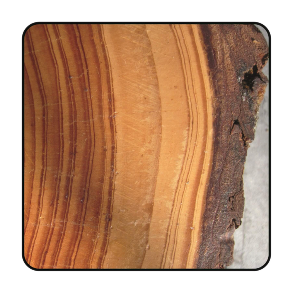 ZAAGBLAD Ø 350 MM, ASGAT 30 MM, B=3,50 MM, Z=32 WISSELTAND, HW Schulpen en afkorten