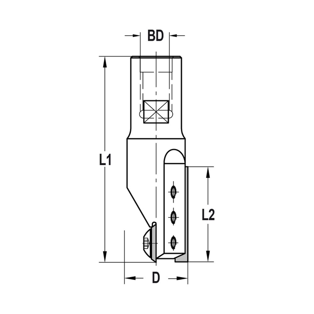 KEERMESGROEFFREES Ø 20 X 30 MM, TL=65 MM, BINNENDRAAD M10, HW Met inboormes