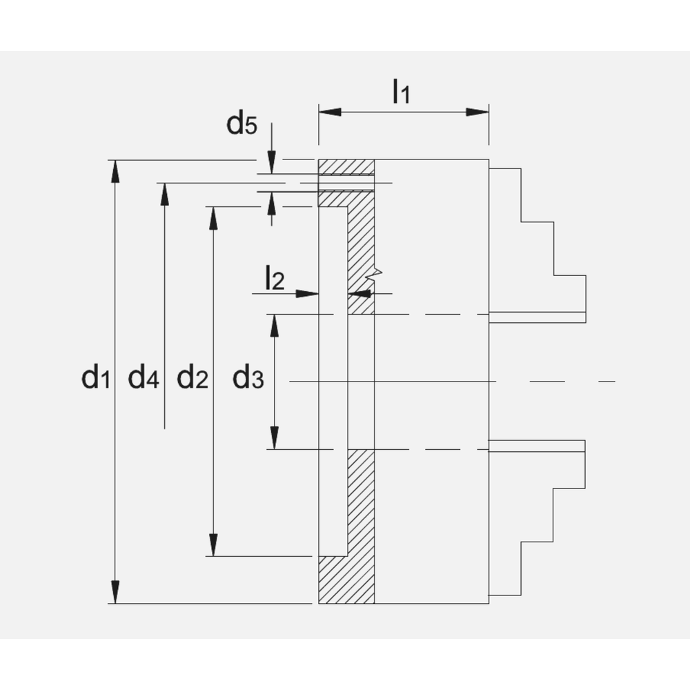 Bison DIN 6351 Gecombineerde Vier-Klauwplaat (Westcott), gietijzer, type 4605