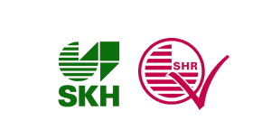 Wofix Spaanplaatschroeven Wood Torx 30