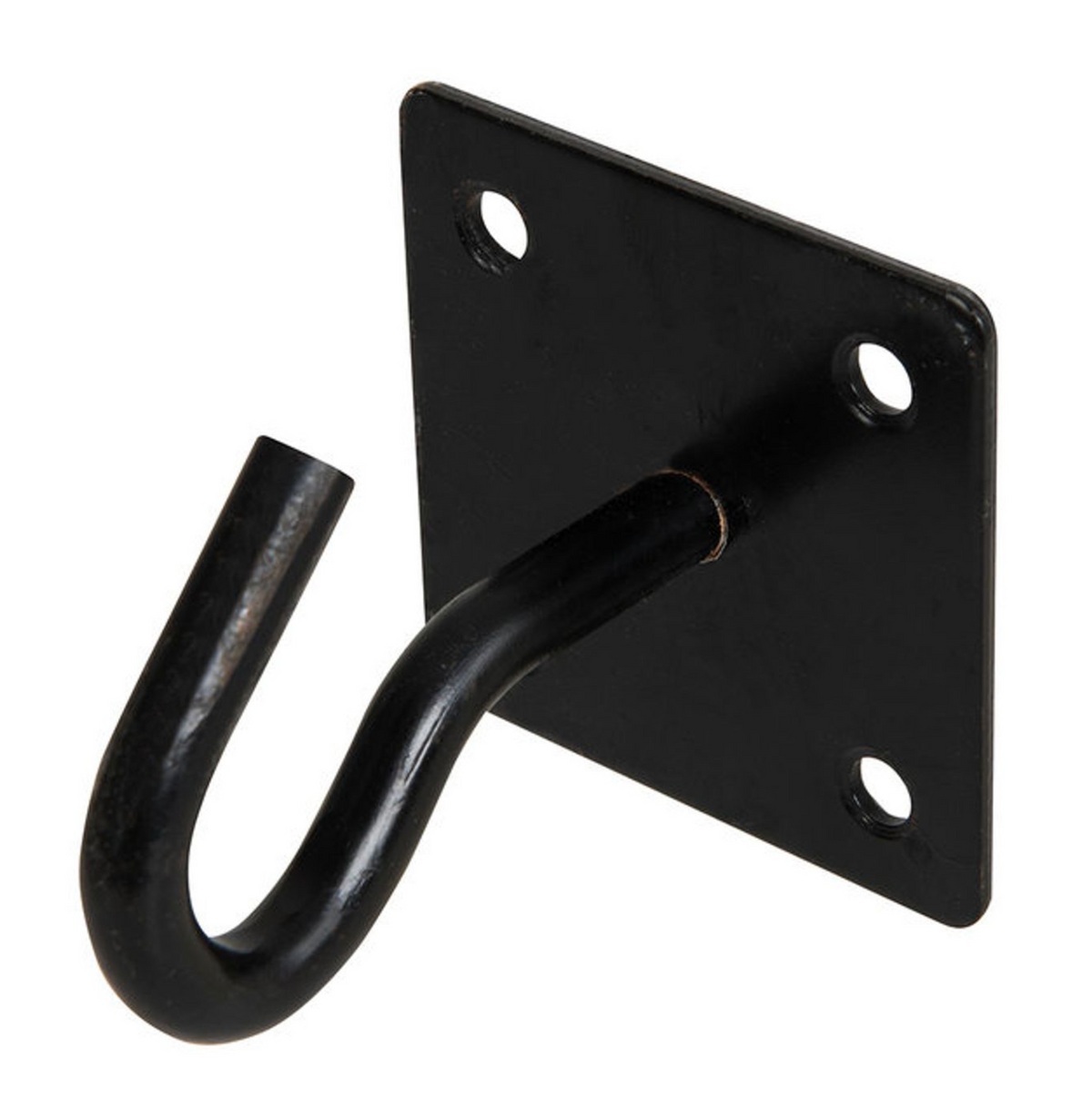 Fixman Oogplaat met haak Zwart 50x50mm Vierkant Kettingplaat (2 stuks)