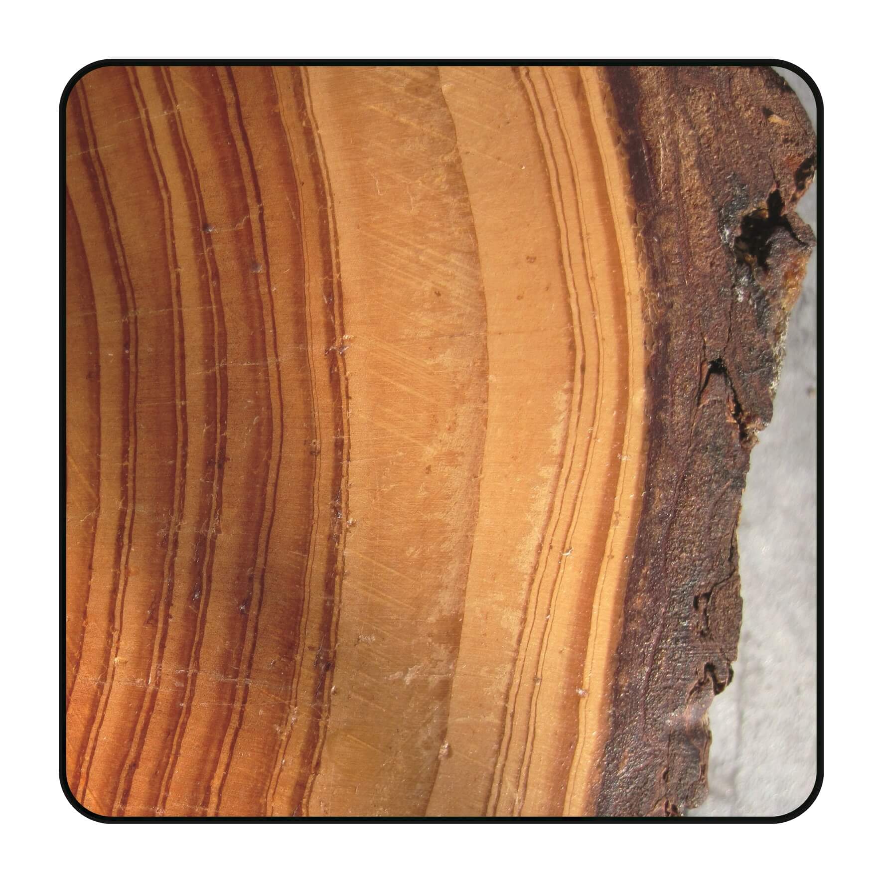 Zaagblad Ø 600 mm, asgat 30 mm, B=4,40 mm, Z=40 Trapezium-tand, HW