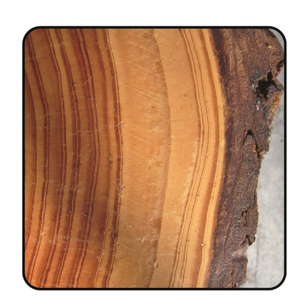 ZAAGBLAD Ø 105 MM, ASGAT 20 MM, B=2,60 MM, Z=30 WISSELTAND, HW Schulpen en afkorten