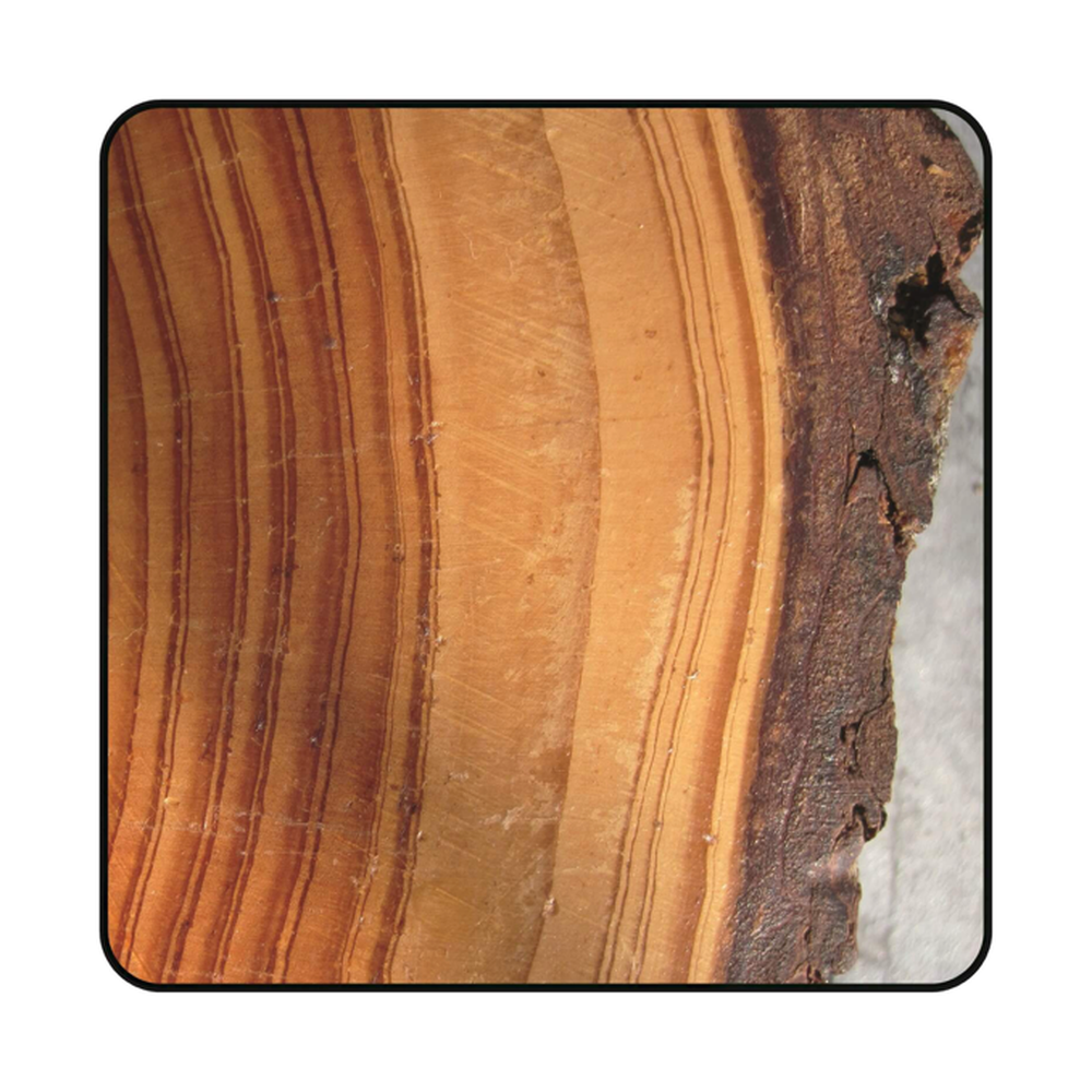 ZAAGBLAD Ø 120 MM, ASGAT 20 MM, B=1,80 MM, Z=24 WISSELTAND, HW Schulpen en afkorten