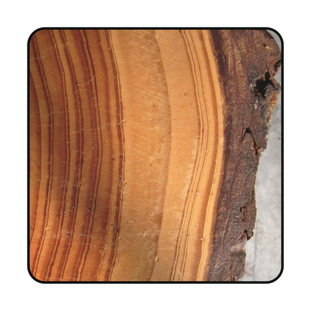 ZAAGBLAD Ø 125 MM, ASGAT 20 MM, B=2,60 MM, Z=30 WISSELTAND, HW Schulpen en afkorten