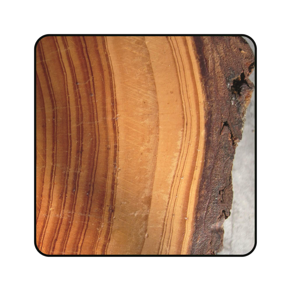 ZAAGBLAD Ø 160 MM, ASGAT 20 MM, B=2,20 MM, Z=48 WISSELTAND, HW Schulpen en afkorten