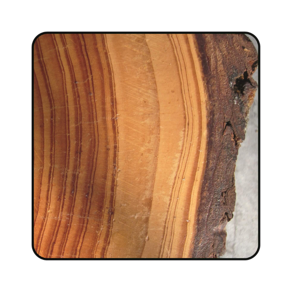 ZAAGBLAD Ø 254 MM, ASGAT 30 MM, B=2,60 MM, Z=32 WISSELTAND, HW Schulpen en afkorten