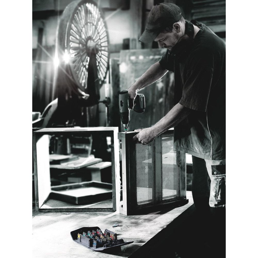 867/1 BTZ TORX® BITS, TX 40 X 25 MM-3