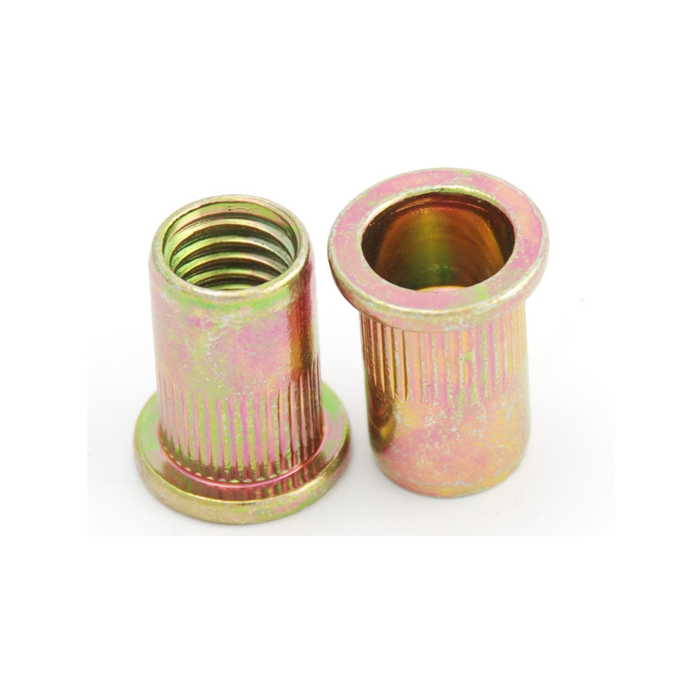 Stalen klinkmoeren M10 SET 10 st
