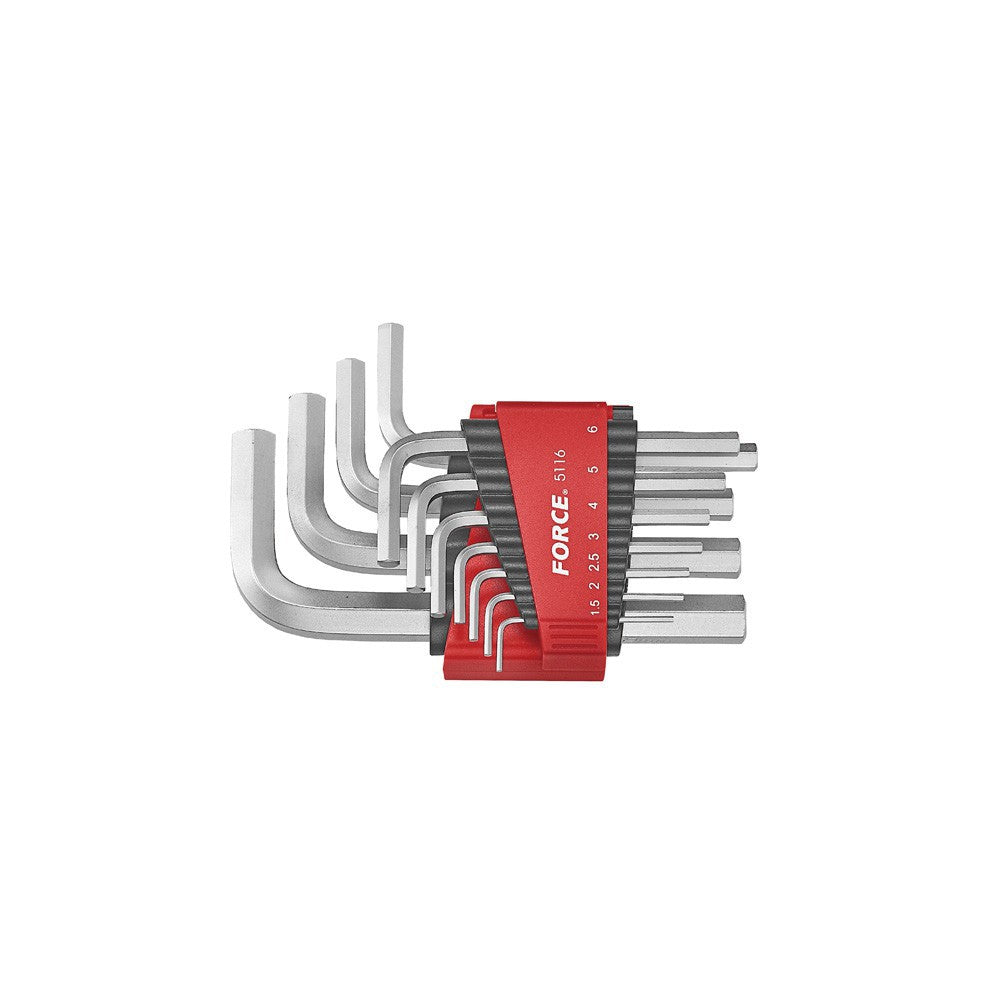 11pc Hex key set