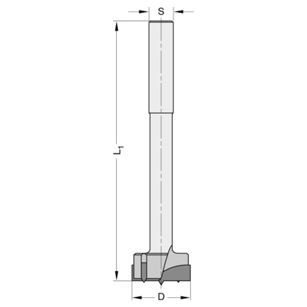 Cylinderkopboren zonder spanvlak HW Z=2/V=2 Met centreerpunt, extra lang