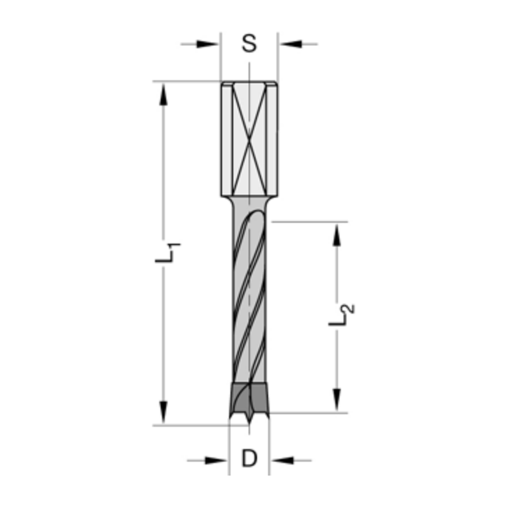 Drevelboren HW Z=2/V=2 Schacht 10 mm, met centreerpunt en spiraalgeleiding