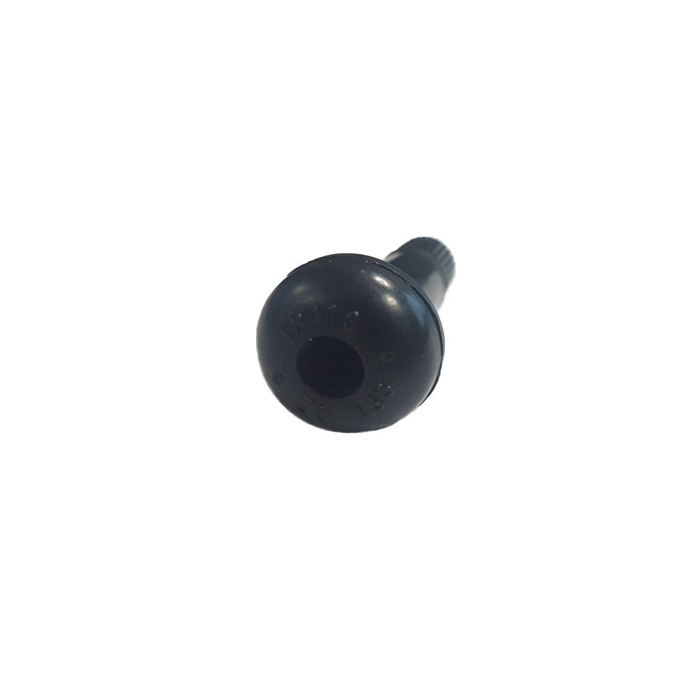 Ventielen TR-414 (100 stuks)