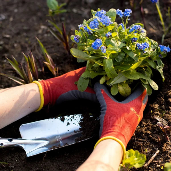 WOLF-Garten Bodemhandschoenen GH-BO 8 - maat 8