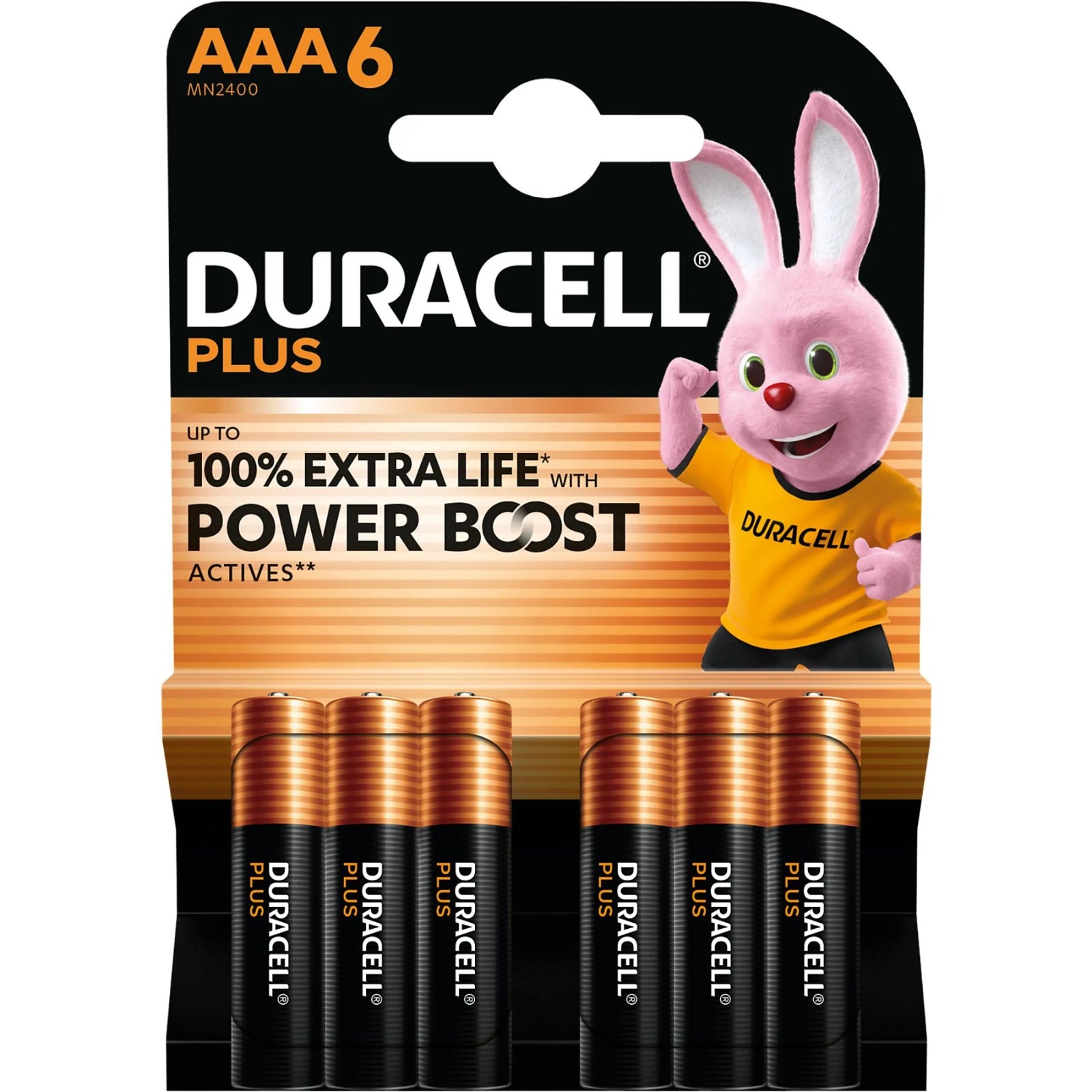 Duracell Alkaline Mainline Bst AAA X6