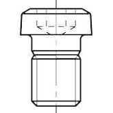 Torx-bout M3,0 x 7,0 Type D