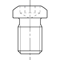 Torx-bout M4,0 x 6,0 Type F