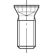 Torx-bout M2,5 x 5,5 Type G