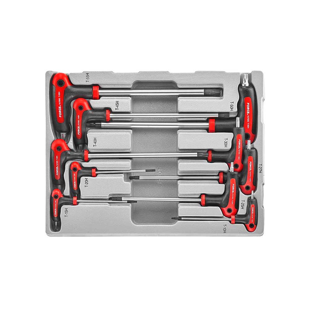 10-delige T-greep resistorx sleutel set