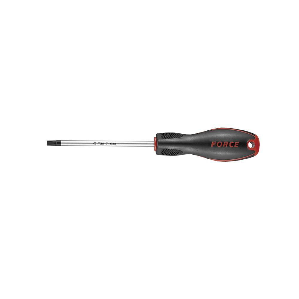 Precisie Schroevendraaier Resistorx T-10H