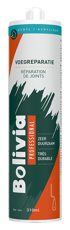 Bolivia Voegreparatie Grijs Koker 310 ml – EAN 8712576309372
