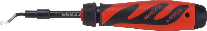 Shaviv type E