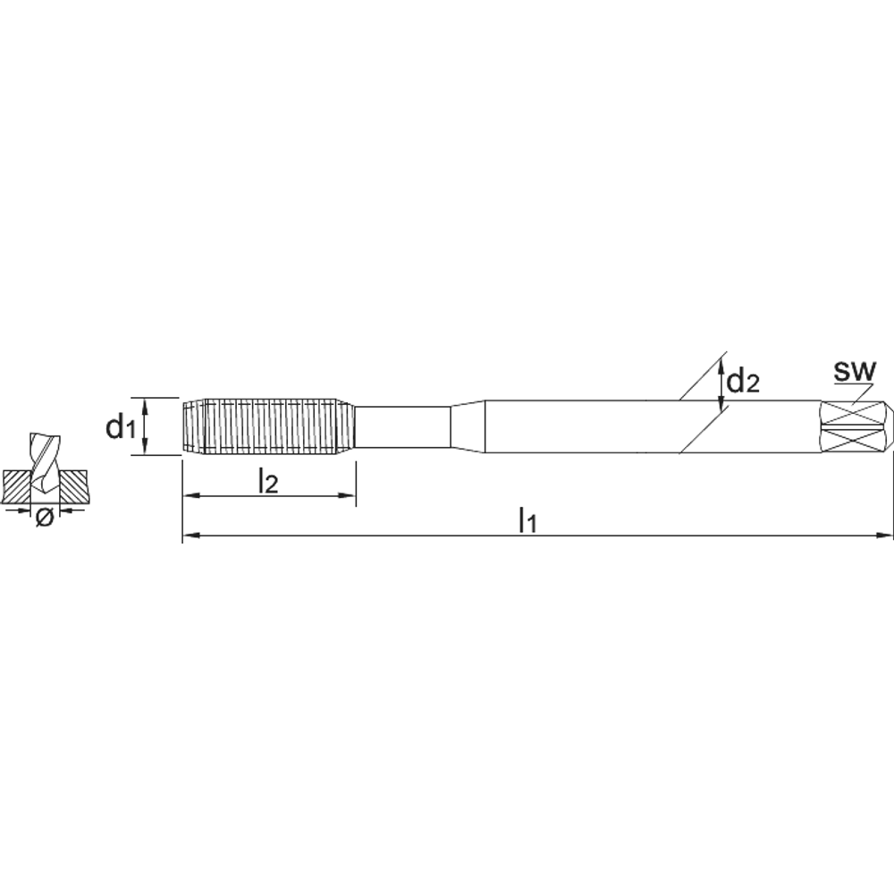 Phantom HSS-E Roltap DIN 2174 Metrisch, TiN