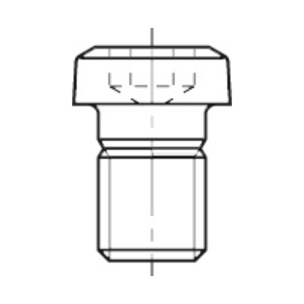 TORX-BOUT M3,5 X 5,5 TYPE D T.b.v. bovenfrezen