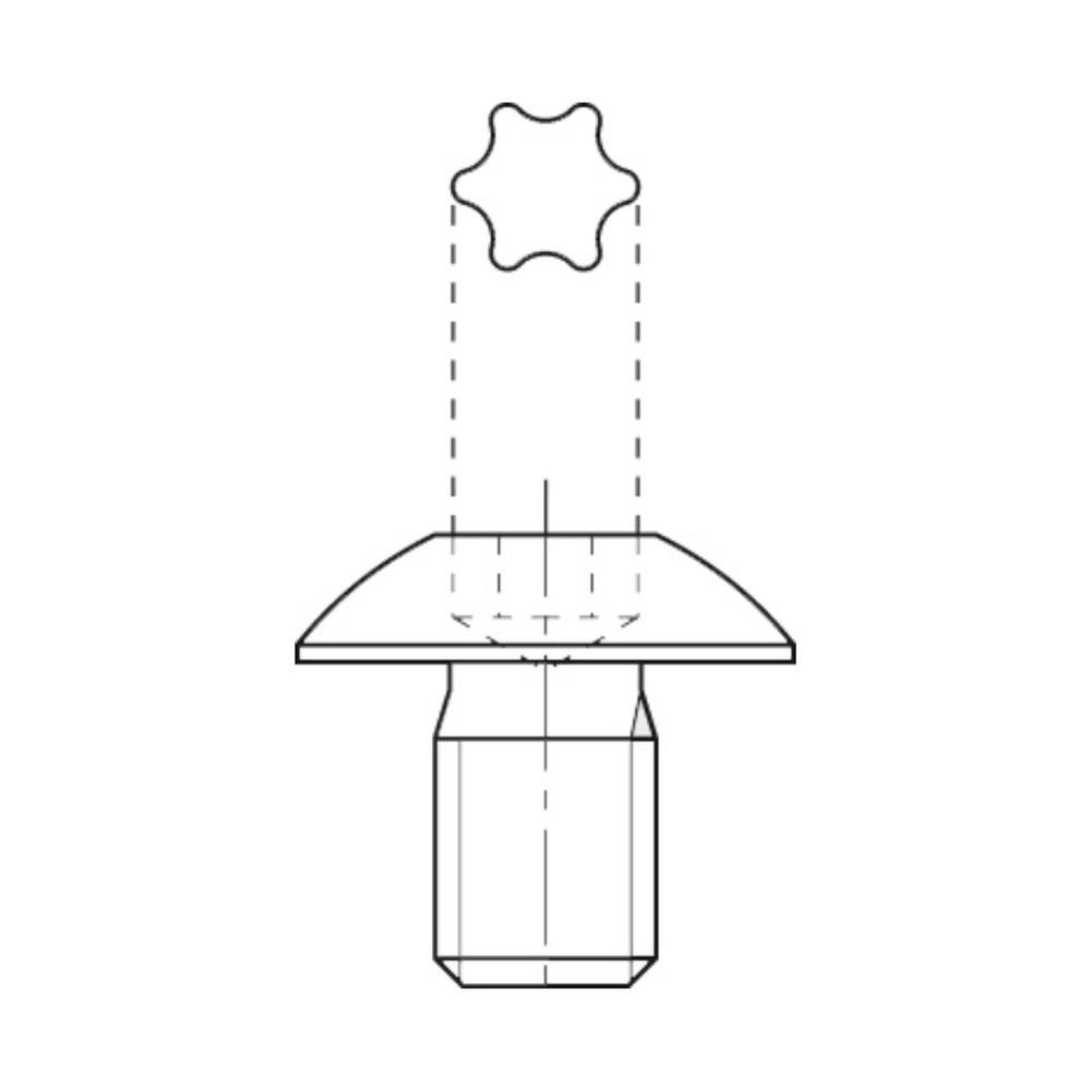 TORX-BOUT M4,0 X 5,9 GROTE KOP (TX15) T.b.v. bovenfrezen
