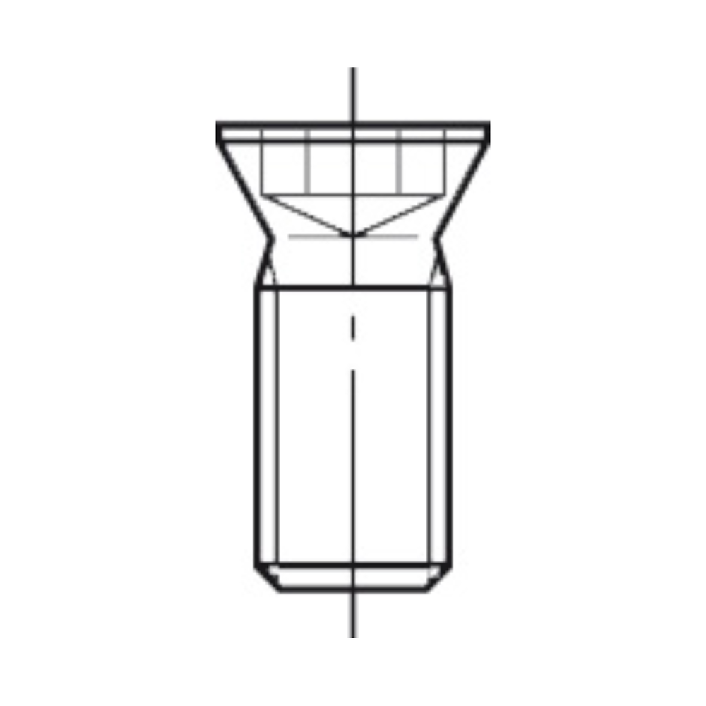 TORX-BOUT M2,5 X 5,5 TYPE G