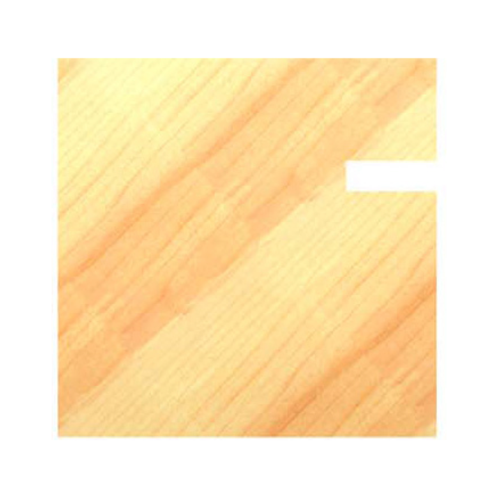 GROEFZAAGJES MET ASGAT 6,3 MM, Type: Groefzaagje D=40 x 1,5 mm