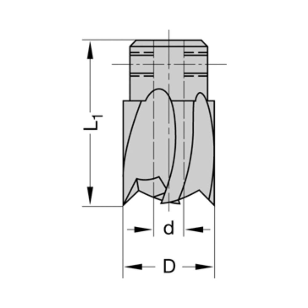 Verzinker D=12,0 mm Opname (d) = 5,0 mm Totale lengte (L1) = 25 mm