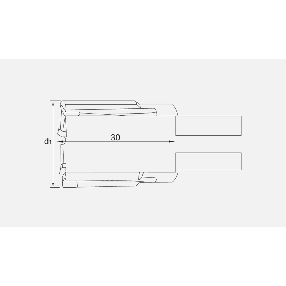 Phantom HM-tip Kernboor Rail, snijdiepte 30 mm