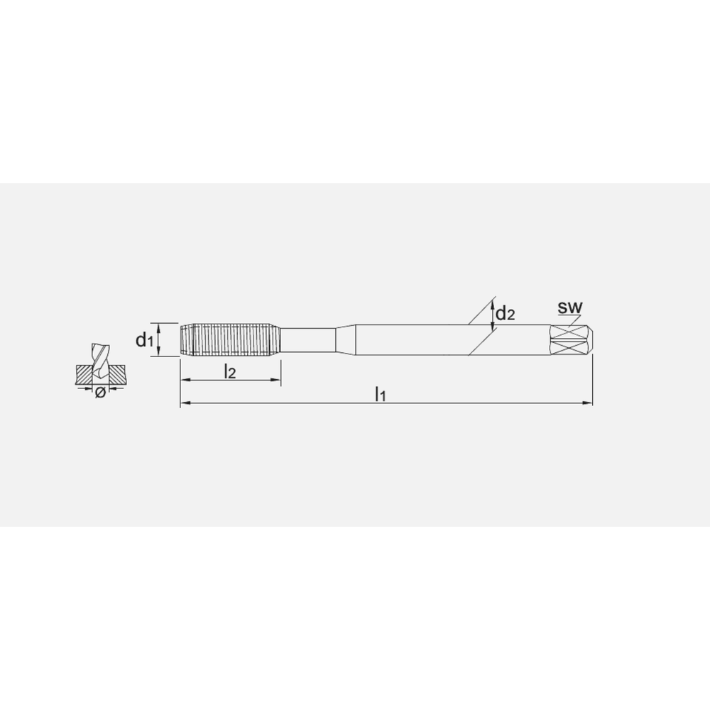 Phantom HSS-E Roltap DIN 2174 Metrisch, TiN
