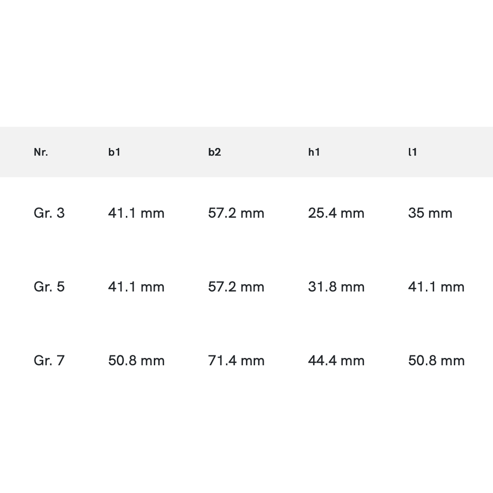 Torax Schuifstang Snelspanklem, met voet, zware uitvoering