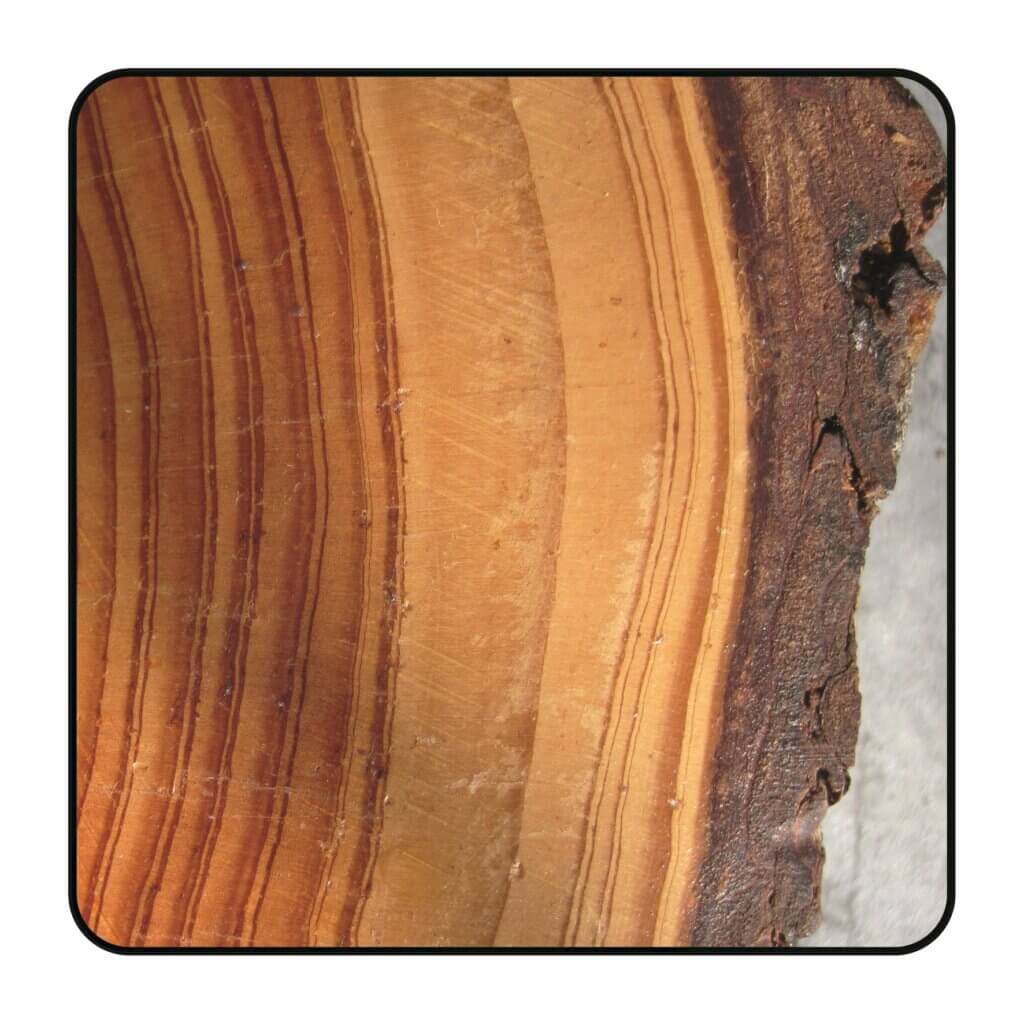 Zaagblad Ø 86 mm, asgat 12 mm, B=2,60 mm, Z=12 Wisseltand, HW
