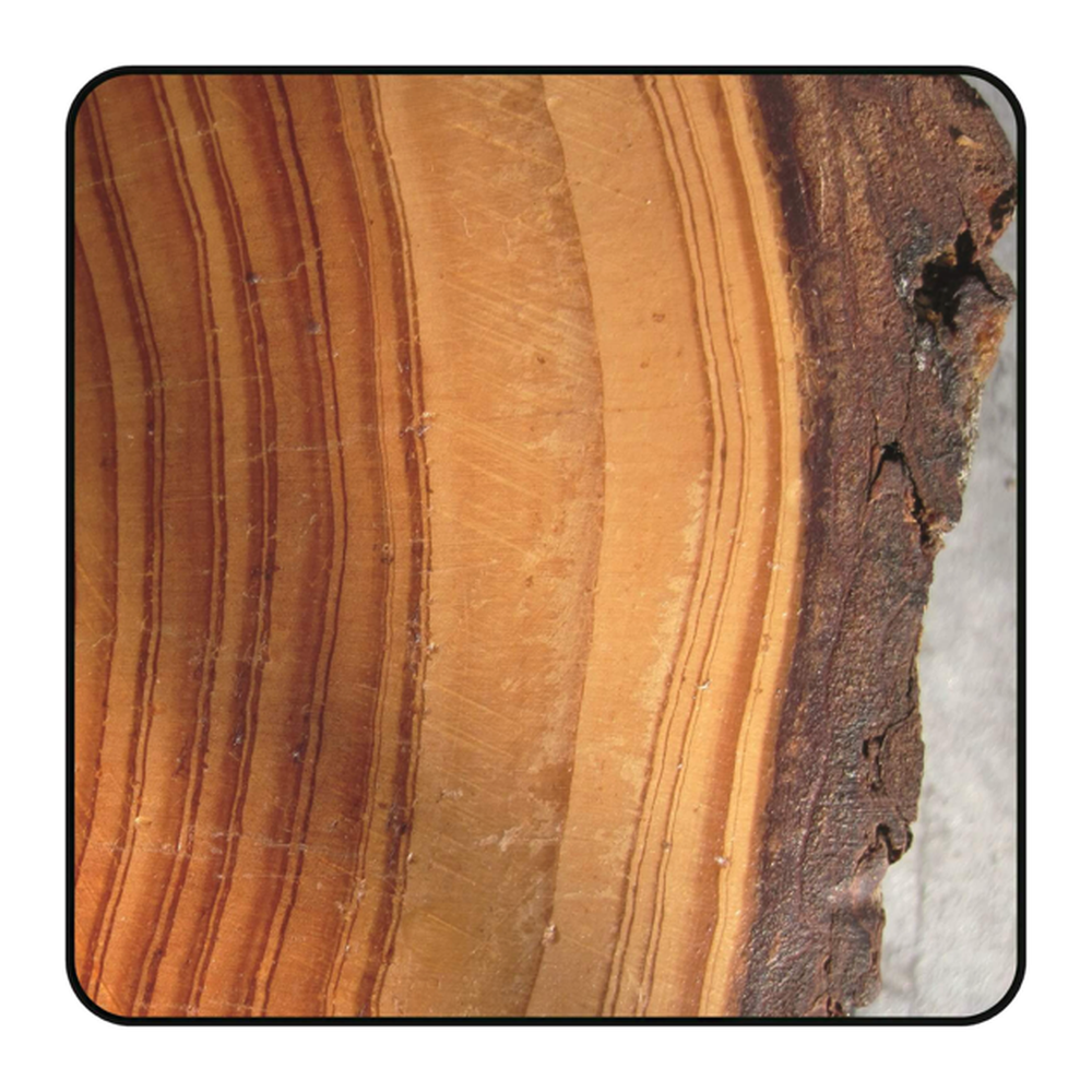 ZAAGBLAD Ø 100 MM, ASGAT 22 MM, B=4,00 MM, Z=6 WISSELTAND, HW Maken van groeven t.b.v. lamellen