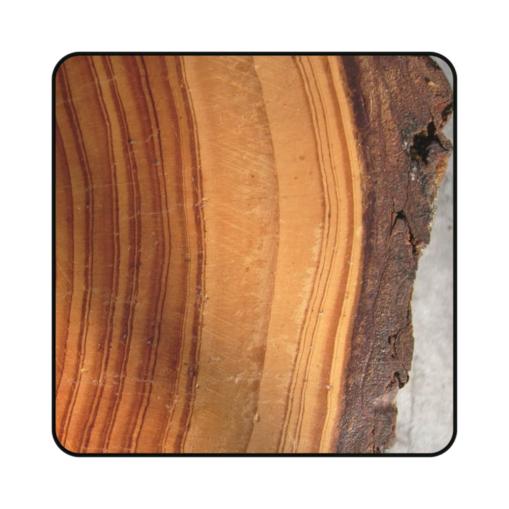 ZAAGBLAD Ø 130 MM, ASGAT 16 MM, B=2,60 MM, Z=24 WISSELTAND, HW Schulpen en afkorten