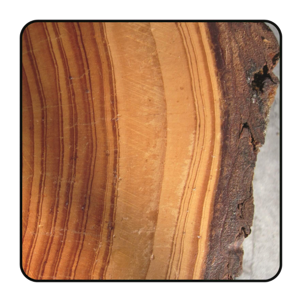 ZAAGBLAD Ø 136 MM, ASGAT 20 MM, B=1,50 MM, Z=24 WISSELTAND, HW Schulpen en afkorten