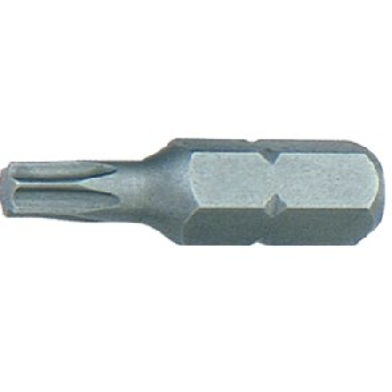 1/4" insertbit TORX T20 L=25mm in bulk-0