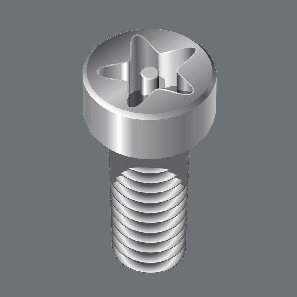 867/1 IPR TORX PLUS® BITS MET BORING, 9 IPR X 25 MM-2